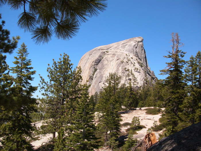 from trail to Half dome